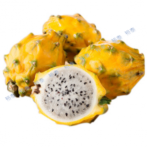 火龍果（黃皮）